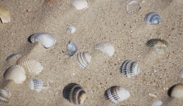 KANARISCHE INSELN GRAN CANARIA